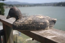 Coot decoy herter for sale  Lincoln City