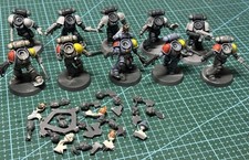 Space wolves grey for sale  BANGOR