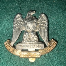 Royal scots greys.bi for sale  HOOK