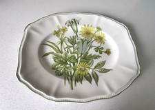 Enoch wedgwood butterfield for sale  EPSOM