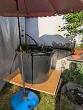 350 liter kübel gebraucht kaufen  Ranstadt