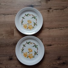 Speiseteller essteller pizzate gebraucht kaufen  Oppach