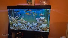 Fish tank aquariumand for sale  FERNDALE