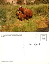 Kodiak alaska mother for sale  Mansfield
