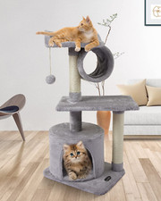 Us01h cute cat for sale  Clinton