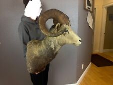 Vintage stone sheep for sale  Moscow