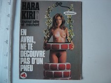Ancienne revue 1976 d'occasion  France