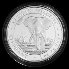 african wildlife elephant gebraucht kaufen african wildlife elephant gebraucht kaufen Porta Westfalica
