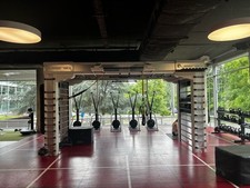 Precor queenax functional for sale  LONDON