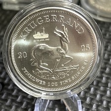 2025 south african for sale  BRANDON