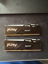 Kingston fury beast gebraucht kaufen  Burgbrohl