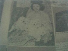 News item undated for sale  LEICESTER
