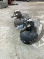 Vintage otter decoys for sale  USA