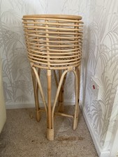 Rattan plant flower for sale  WORCESTER