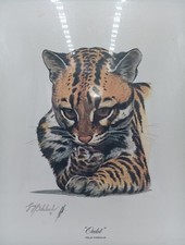 Guy coheleach limited for sale  Owensboro