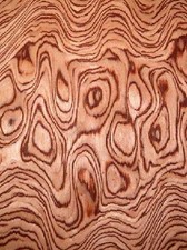 Bubinga pommele maser gebraucht kaufen  Salzhausen