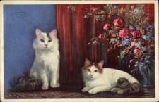 Katzen liegend sitzend gebraucht kaufen  Berlin