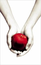 Twilight twilight book for sale  USA