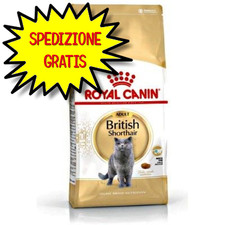 Royal canin gatto usato Royal canin gatto usato  San Felice Circeo