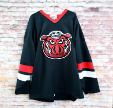 Rockford icehogs uhl for sale  Davenport