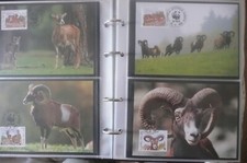 Cyprus mouflon wwf d'occasion  Expédié en Belgium