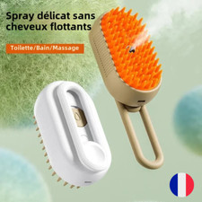 Brosse vapeur électrique d'occasion  Strasbourg-