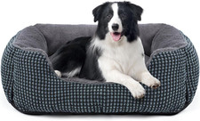 Cuccia cane interno usato  Italia