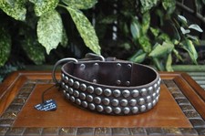 Inch studded dog for sale  BISHOP AUCKLAND