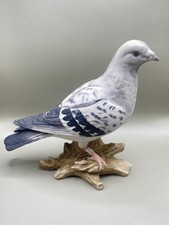 Racing pigeon collectible for sale  CAMBRIDGE