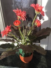 Gerbera topf kunstpflanzen gebraucht kaufen  Mirow