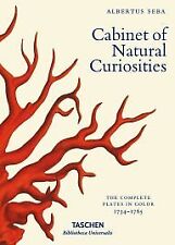 Cabinet natural curiosities for sale  USA