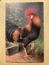 Serie 1723 hahn gebraucht kaufen  Burkau