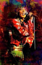 Mick jagger wall for sale  Port Charlotte