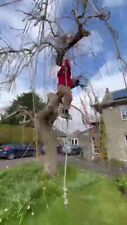 Climbing rope garden for sale  SALISBURY
