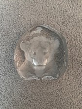 Paperweight capredoni koala for sale  STOCKPORT