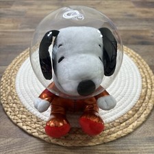 Hallmark snoopy nasa for sale  Warwick