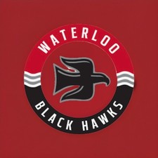 Cartões colecionáveis de hóquei 2016-17 Waterloo Black Hawks USHL comprar usado  Enviando para Brazil