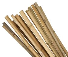 3ft x10 pcs for sale  BLACKWOOD
