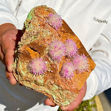 Usado, 4,34 lb cobaltita marroquina natural e cristal simbiótico quartzo espécimes mineiro comprar usado  Enviando para Brazil