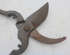 Alte kleine astschere gebraucht kaufen  Zehdenick