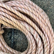 Maine weathered lobster for sale  Deer Isle