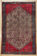 Hand knotted hamedan for sale  North Bergen