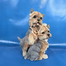 Danbury mint yorkies for sale  Arvada
