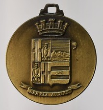 Medaglia gruppo artiglieria usato  Monte di Procida