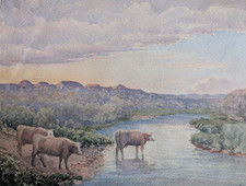 Troupeau vaches. aquarelle d'occasion  Cadenet