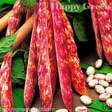 Vegetable dwarf italian for sale  DONCASTER