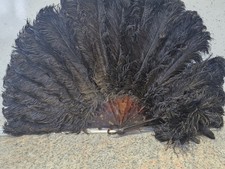 ostrich feather for sale ostrich feather for sale LIVERPOOL
