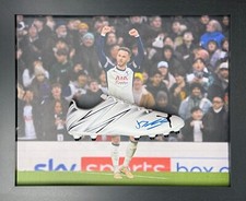 Dome framed james for sale  MANCHESTER