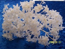 Ancien bouquet fleurs d'occasion  Nevers