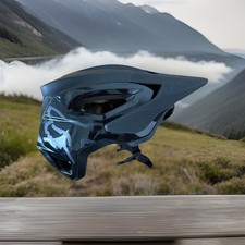 Fox speedframe pro gebraucht kaufen  Ingolstadt